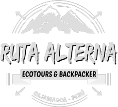 Ruta Alterna Logo White